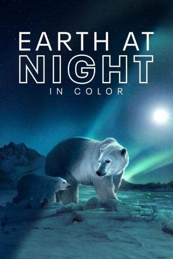 زمین در شب به صورت رنگی